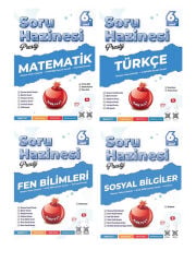 Nartest 6. Sınıf Türkçe Matematik Fen Sosyal Prestij Soru Hazinesi Maarif Model 4 lü Set