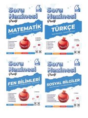 Nartest 6. Sınıf Türkçe Matematik Fen Sosyal Prestij Soru Hazinesi Maarif Model 4 lü Set
