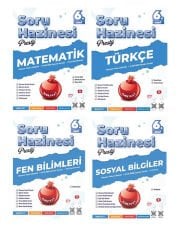 Nartest 6. Sınıf Türkçe Matematik Fen Sosyal Prestij Soru Hazinesi Maarif Model 4 lü Set