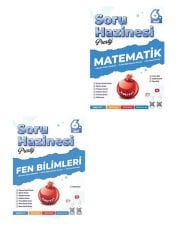 Nartest 6. Sınıf Maarif Model Matematik Fen Bilimleri Prestij Soru Hazinesi 2 li Set