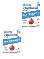 Nartest 6. Sınıf Maarif Model Matematik Fen Bilimleri Prestij Soru Hazinesi 2 li Set
