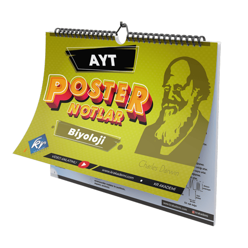 KR Akademi AYT Biyoloji Poster Notlar