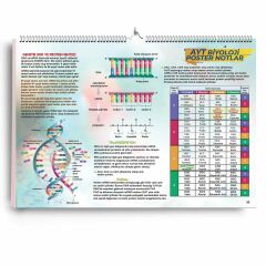 KR Akademi AYT Biyoloji Poster Notlar