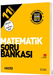 2027 Hız Yayınları 11. Sınıf Matematik Soru Bankası