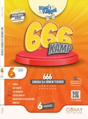 Günay Yayınları 6. Sınıf 666 Soruda İlk Dönem Kamp Kitabı