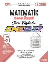 2027 Palme Yayınları 11. Sınıf Matematik Enerji Konu Özetli Soru Fasikülü