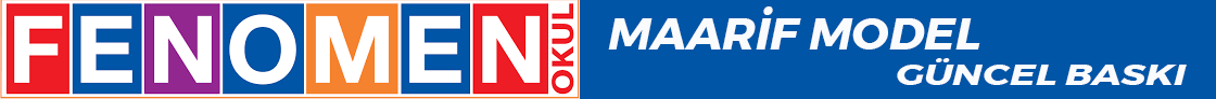 FENOMEN YAYINLARI MAARİF MODELE UYGUN KİTAPLAR